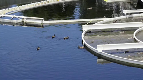 废水处理的环保过程