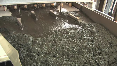 废水处理和微生物学