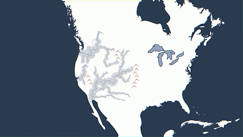 直接饮用水再利用系统