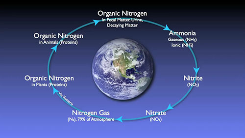 城市污水脱氮研究