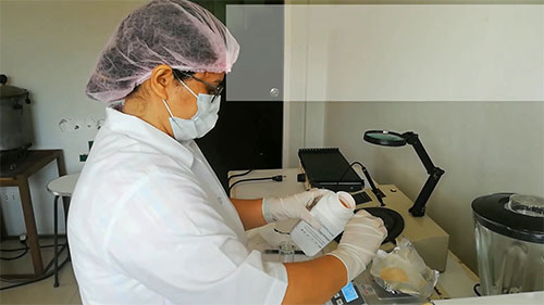 水样细菌学分析