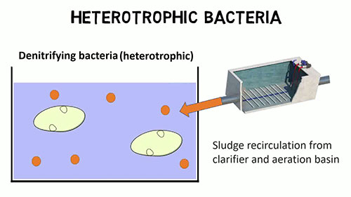 污水处理的反硝化系统