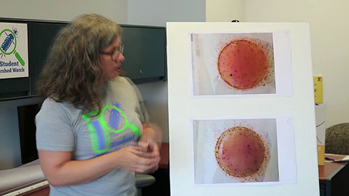 水质检测 1 细菌采样检测