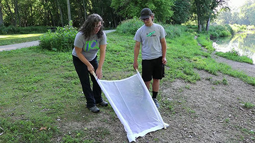水质检测 3 水域中的动物采样