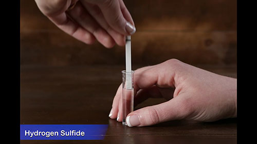 如何测试井水水质