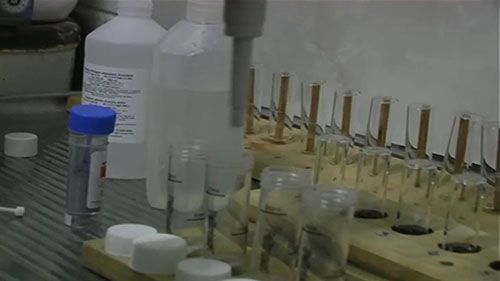 检测水中的硝酸盐