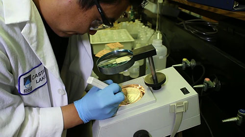 饮用水水质检测