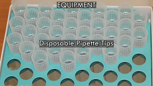 试剂盒检验大肠杆菌