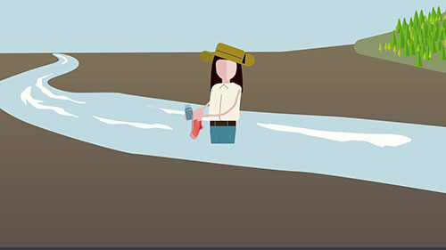 水样大肠杆菌分析的方法