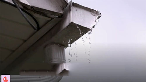 雨水能否安全饮用