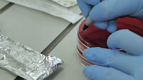 膜过滤计数水样细菌