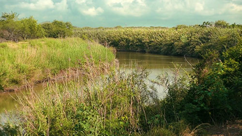 污水处理厂中生产可再生能源