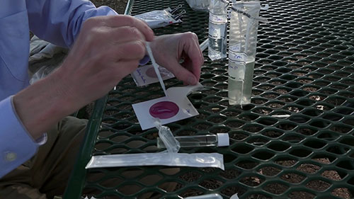 蠕虫处理污水污泥