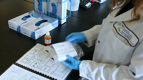 分析水样中的锰