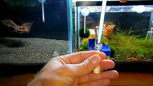 测试水样中的氨