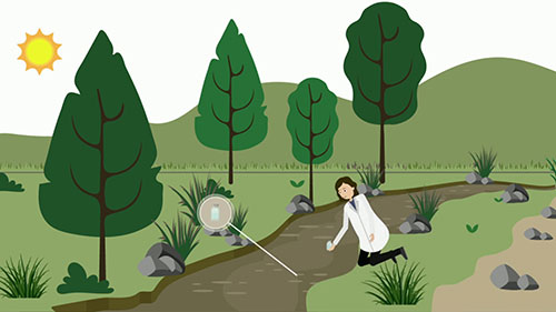 水中微生物污染追踪