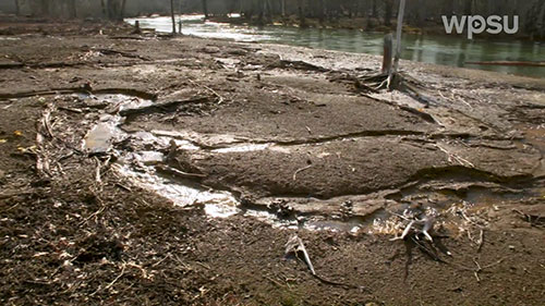 微生物去除矿区水源污染