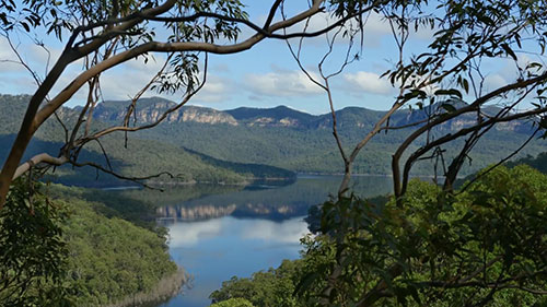 悉尼的优质饮用水