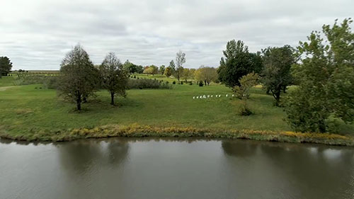 农业用水水质标准