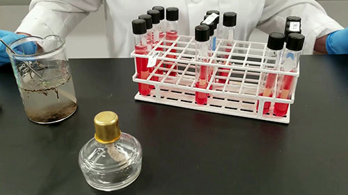 水质微生物和细菌测试