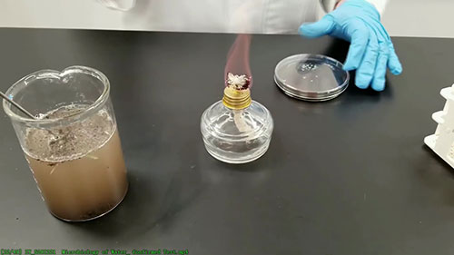 水质和大肠杆菌群