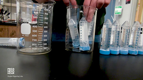 检测地下水中的砷元素