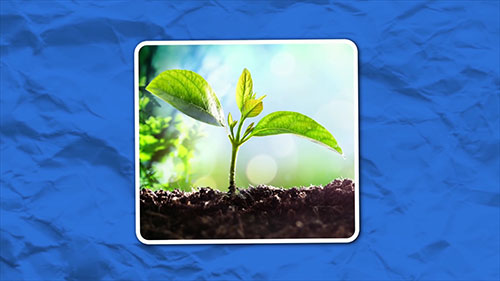 饮用水含氟安全吗