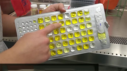 水体取样和分析