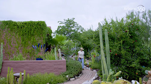 雨水商业收集系统