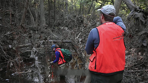 去除水中的PFAS物质
