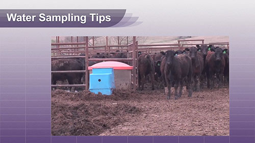 水样提取的正确操作