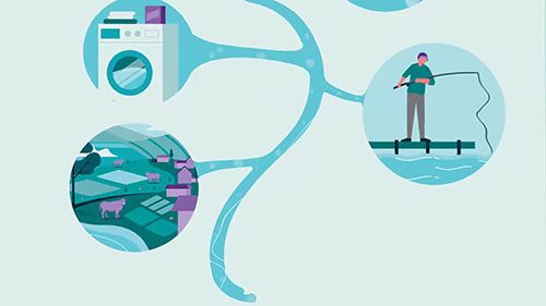 菲茨罗伊河流域的水道监测