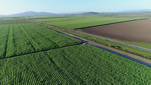 澳洲巴拉塔河的水质监测