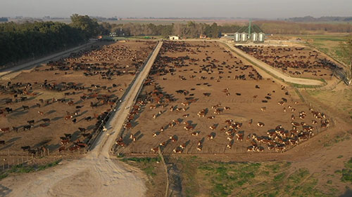 畜牧业对环境的伤害