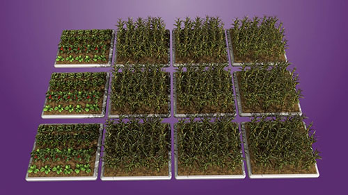 农业对环境的影响