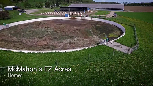 用粪肥泻湖处理农场的粪便