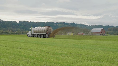 奶牛场的牛粪管理
