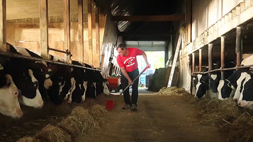 牛粪生产出的电力