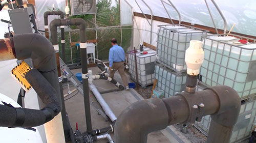 猪粪转化为燃料