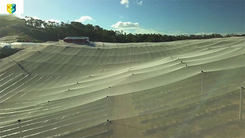 如何减少肥料对水道的污染