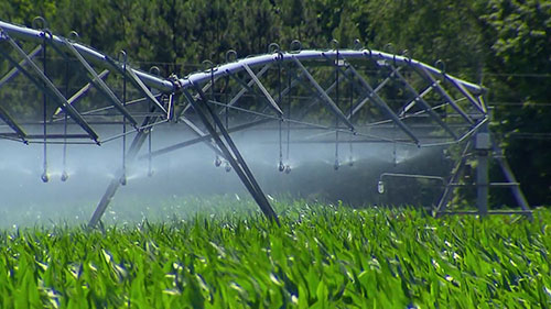 用废水灌溉农田