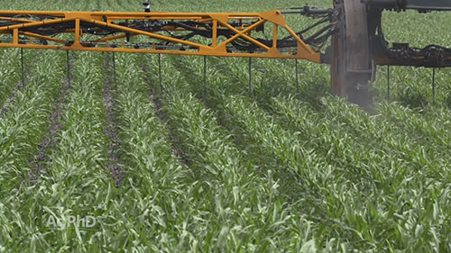 农业对水质的影响