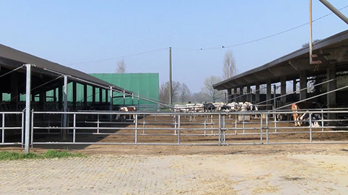 奶牛场和空气污染 