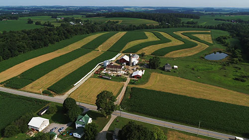 宾夕法尼亚州的农田保护