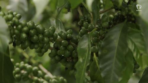 第一个碳中和国家