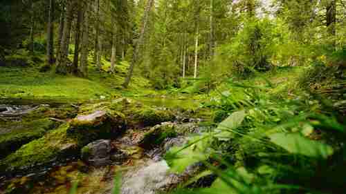 了解净零和碳中和