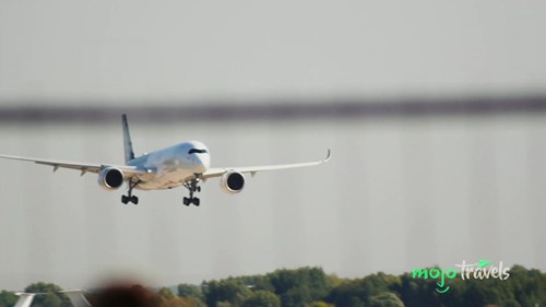 如何限制旅行碳足迹