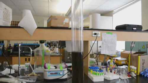 如何通过湖泊沉积物了解水质