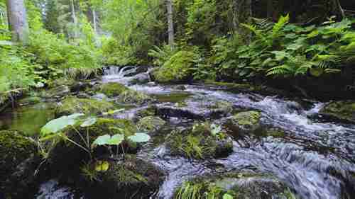 多瑙河的沉积物管理 1