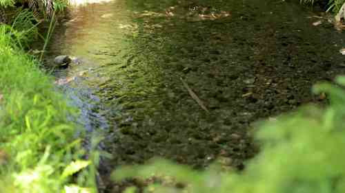 解决水道泥沙沉积问题